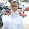 Rex Gonzales - @rex.gonzales23 - TikTok