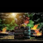 Goody Rex - @rex.goody - Instagram