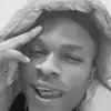 Harvey Rex - @harveyrex4 - TikTok