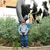 Rex Herring - @rex.herring - TikTok