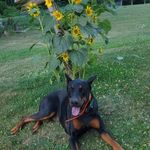 Rex Higgins - @rex.higgins.3 - Instagram