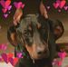 Rex Higgins - Facebook