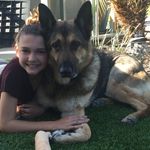 Rex🐾 - @rex.higgins - Instagram