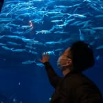 Rex Ho - @rex.ho - Instagram