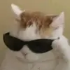 REXHO _ - @rexho_ - TikTok