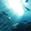 rex.ho - @rex.ho - TikTok