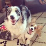 Rex And Hogan - @rex_and_hogan - Instagram