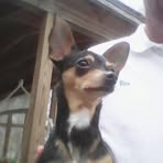 Rex Holt - Facebook