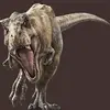Angel t rex Huber - @angel.t.rex.huber - TikTok