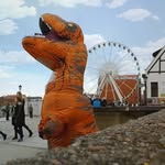 T-rex Hubert - @trexhubert - Instagram