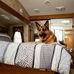 Hudson Rex - Facebook