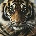 Rex Jorgensen - Facebook