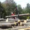 rexkeeney - @rexkeeney - TikTok