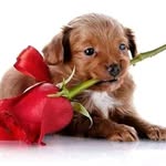 Rex_kelly - @rex_kelly20 - Instagram