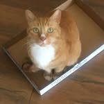 Rex Kemper - @kemperrex - Instagram