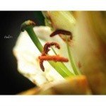 Kerschner - @2588rexfordush - Instagram