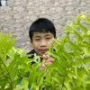 Rexkey  - @rexkey - TikTok