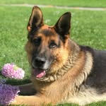Rex - @rexkhanyan - Instagram