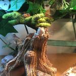 _ReX_ - @_rex_king - Instagram