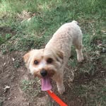 Rex Kinney - @rex.kinney - Instagram