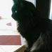Kirk Rex - Facebook