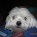 Rex Kirk - Facebook