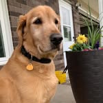 Rex - @rex_kirk2323 - Instagram