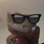 Rex Klein - @rex_klein - Instagram