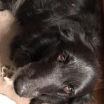 Rex Knapp - Facebook