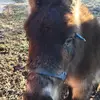 rexknepp123456 - @rexknepp123456 - TikTok