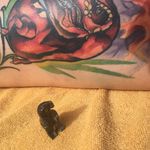 Rex Knowles - @adventuresofrexknowles - Instagram