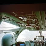 rex Kong - @rex_kimbo - Instagram
