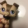 rexplacy - @rexy.lps - TikTok