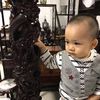 Rex Lam - @30248282345 - TikTok