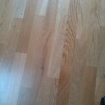 rex land - @rex.land - Instagram