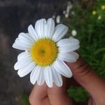 Rexland - @rexlanddesign - Instagram