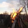 rex - @rex.landis - TikTok