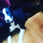 Rex Lane - @rexlane19 - Instagram