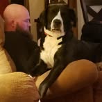 Rex Lane - Facebook