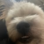 Rex Langford - @rex.langford - Instagram