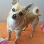 Rex Lara Cañola - @laracanola - Instagram