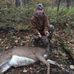 Rex Larson - Facebook