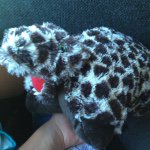 Albert T-Rex Ledford - @albert_t_rex - Instagram