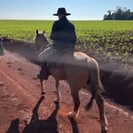 leonardo rex - @rex.leonardo__ - Instagram