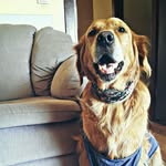 rexleon - @rexleonx - Instagram