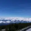 Rex Leung207 - @31324081201 - TikTok