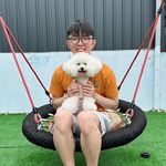 Rex Leung - @rexleungkm - Instagram