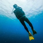 Rex Leung - @rexlb - Instagram