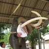 Rex Leung - @31835698065 - TikTok