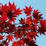 Rex Leung - @rex.leung.58 - Instagram